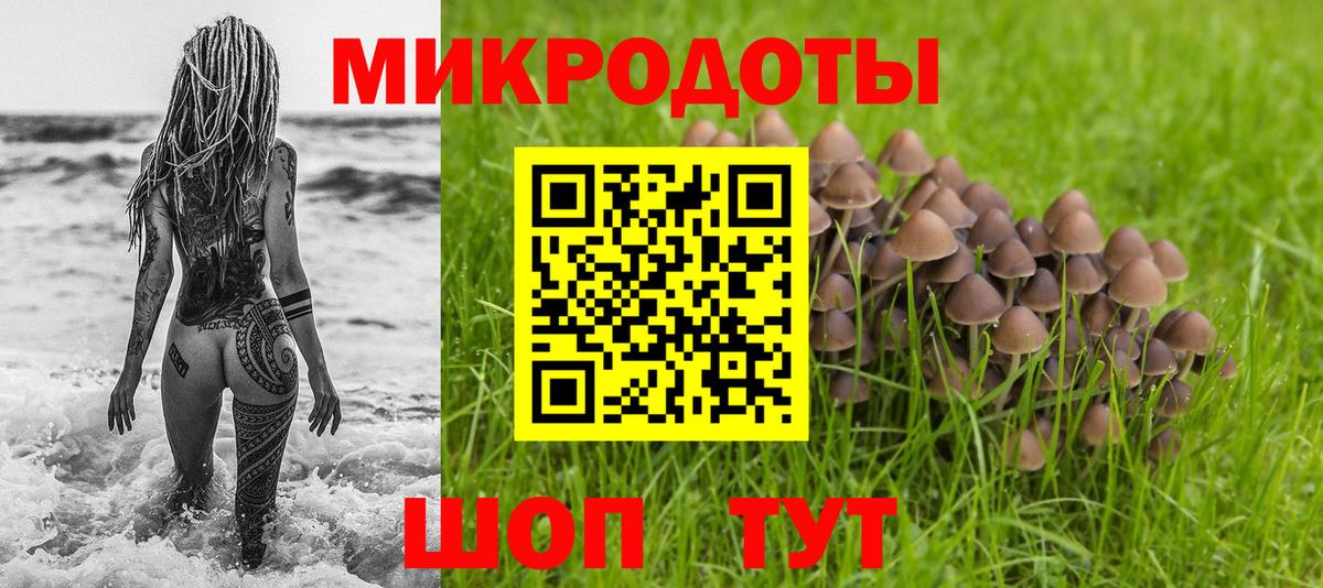 Галлюциногенные грибы Psilocybe  Вход с VPN  Магадан 